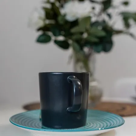 Relax And Cozy Studio- Private Parking - Near Center Daire Bükreş